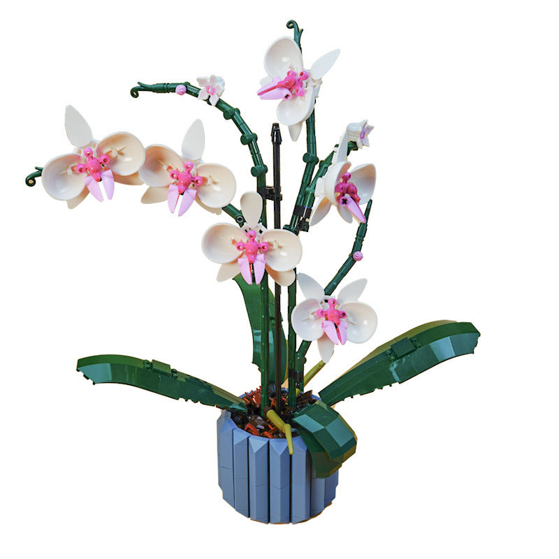 Orchidee Brickplant