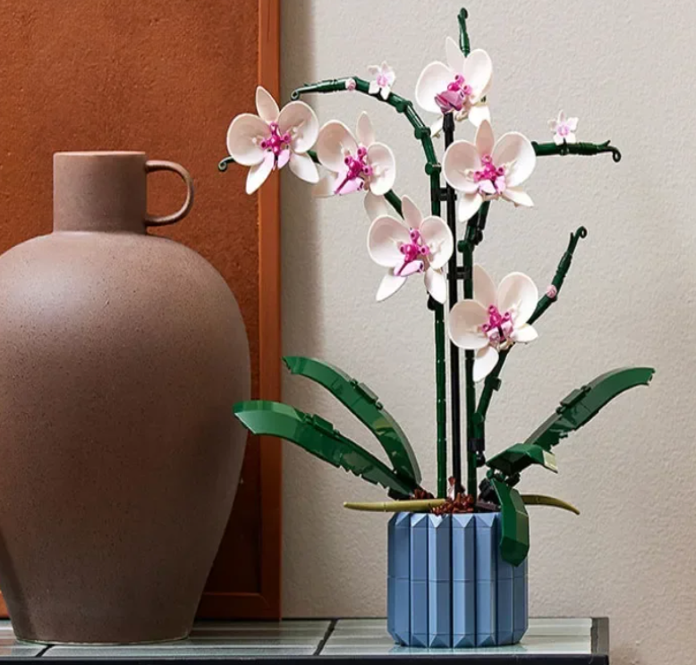 Orchidee Brickplant