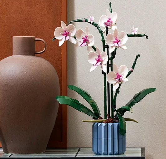 Orchidee Brickplant