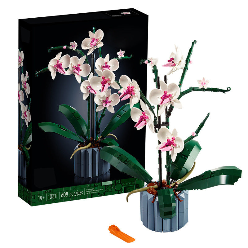 Orchidee Brickplant